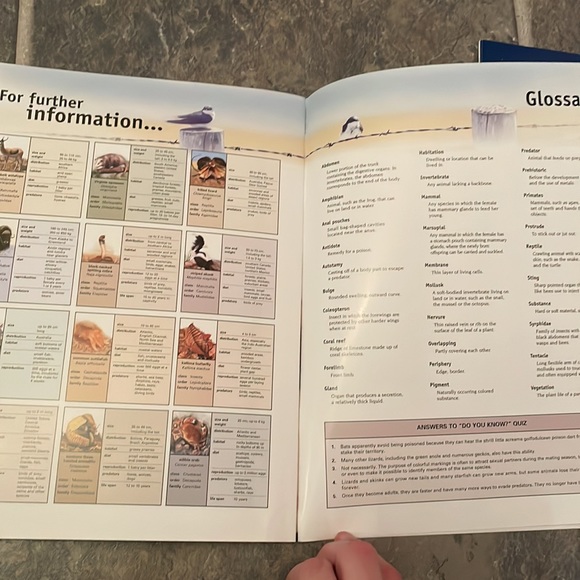 7 “so many ways” books with birds, reptiles, animals etc - Picture 6 of 12